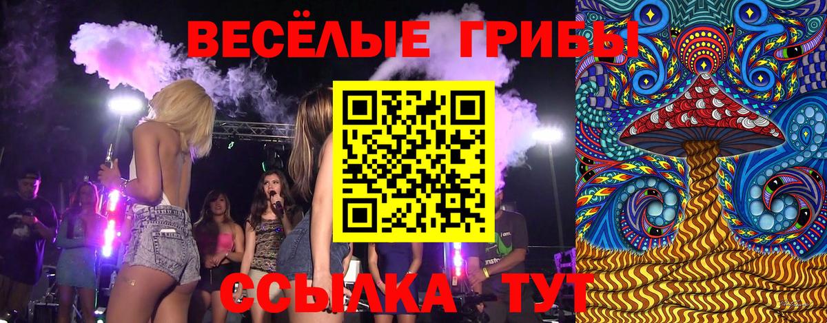 Ростов Великий  Галлюциногенные грибы мицелий  Вход с VPN 